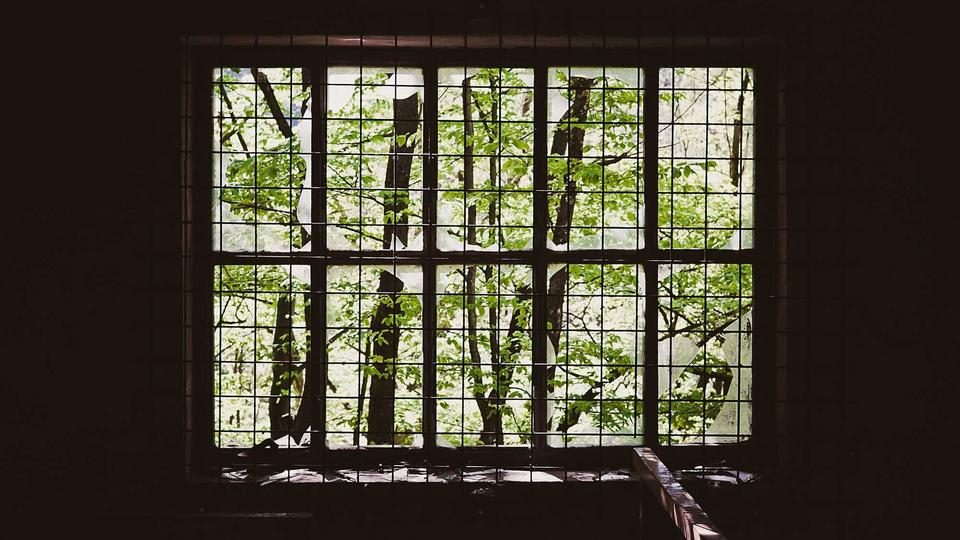 世界杯观察：各队进入新一轮备战周期